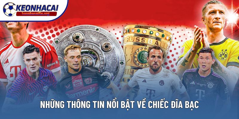 Những thông tin nổi bật về chiếc đĩa bạc