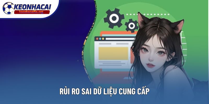 Rủi ro sai dữ liệu cung cấp