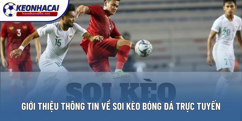 Giới thiệu thông tin về soi kèo bóng đá trực tuyến