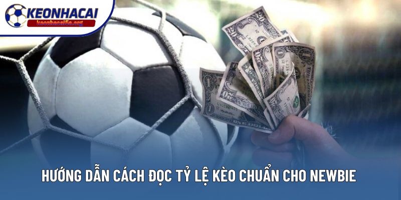 Hướng dẫn cách đọc tỷ lệ kèo chuẩn cho newbie